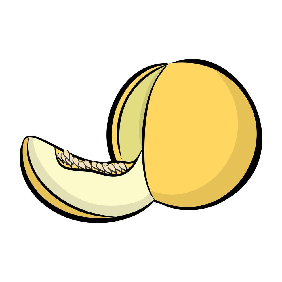 Trendy Melon Concepts vector