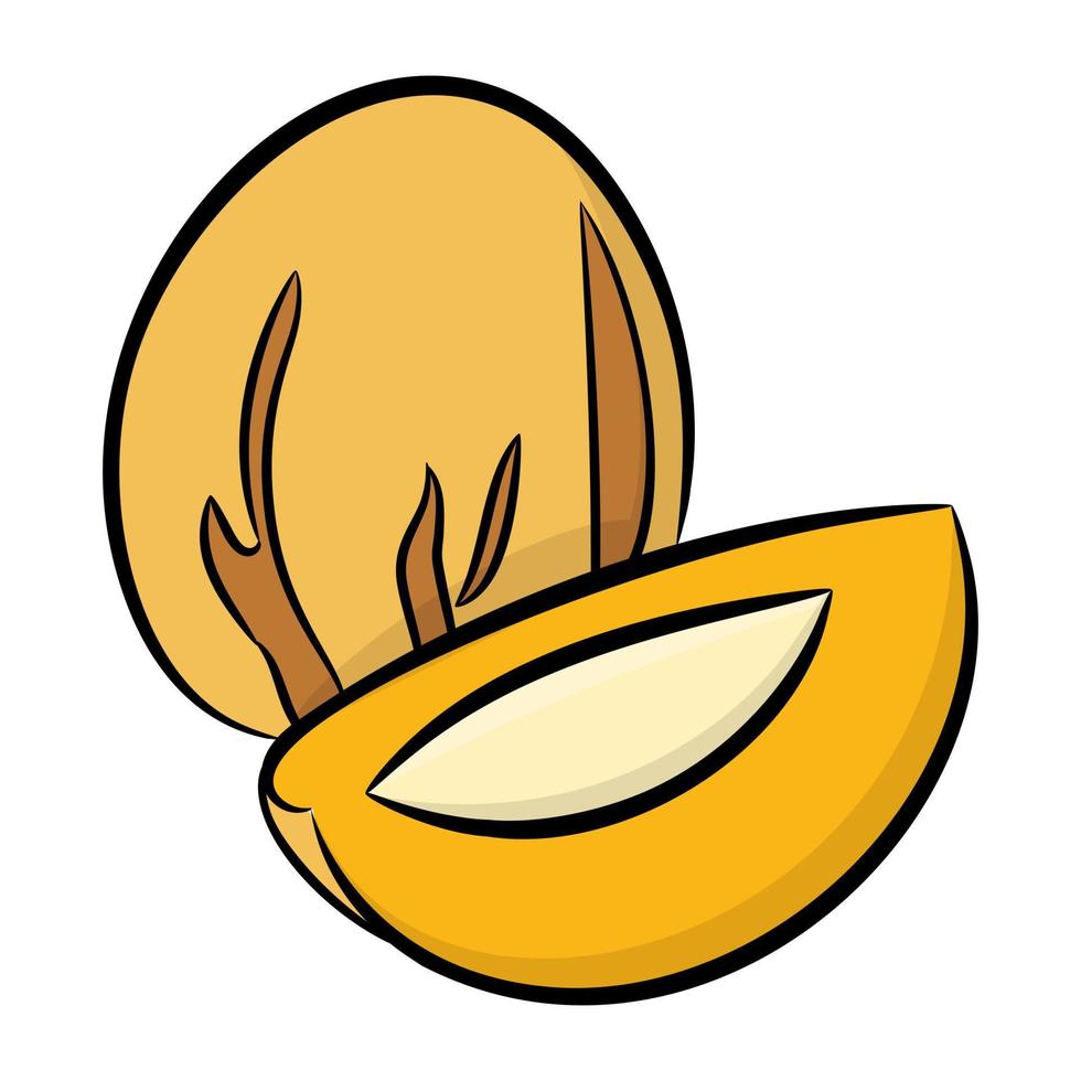 Coconut Slice Concepts vector