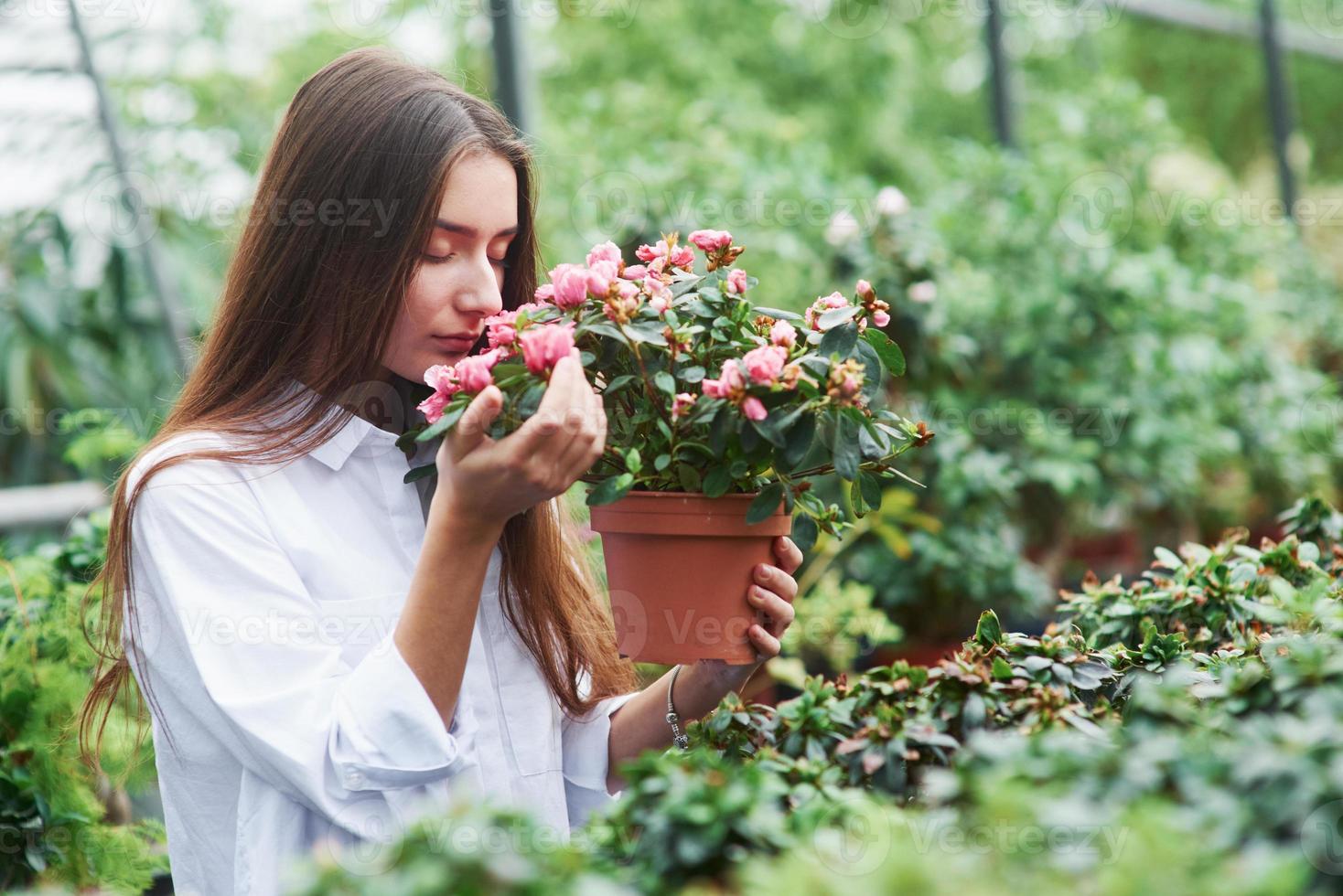 Pretty girl holds the pot and sniffs the flowers in the greenhouse photo