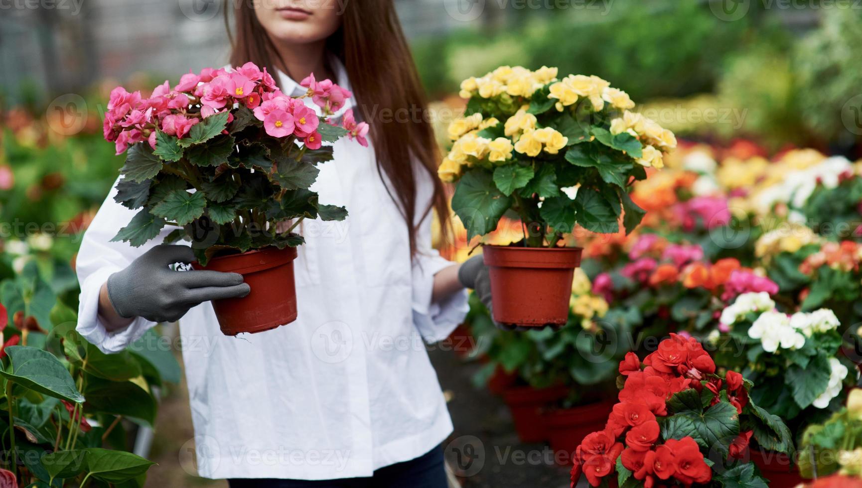 Girl in work clothes holding two pots in hands inside the greenhouse photo