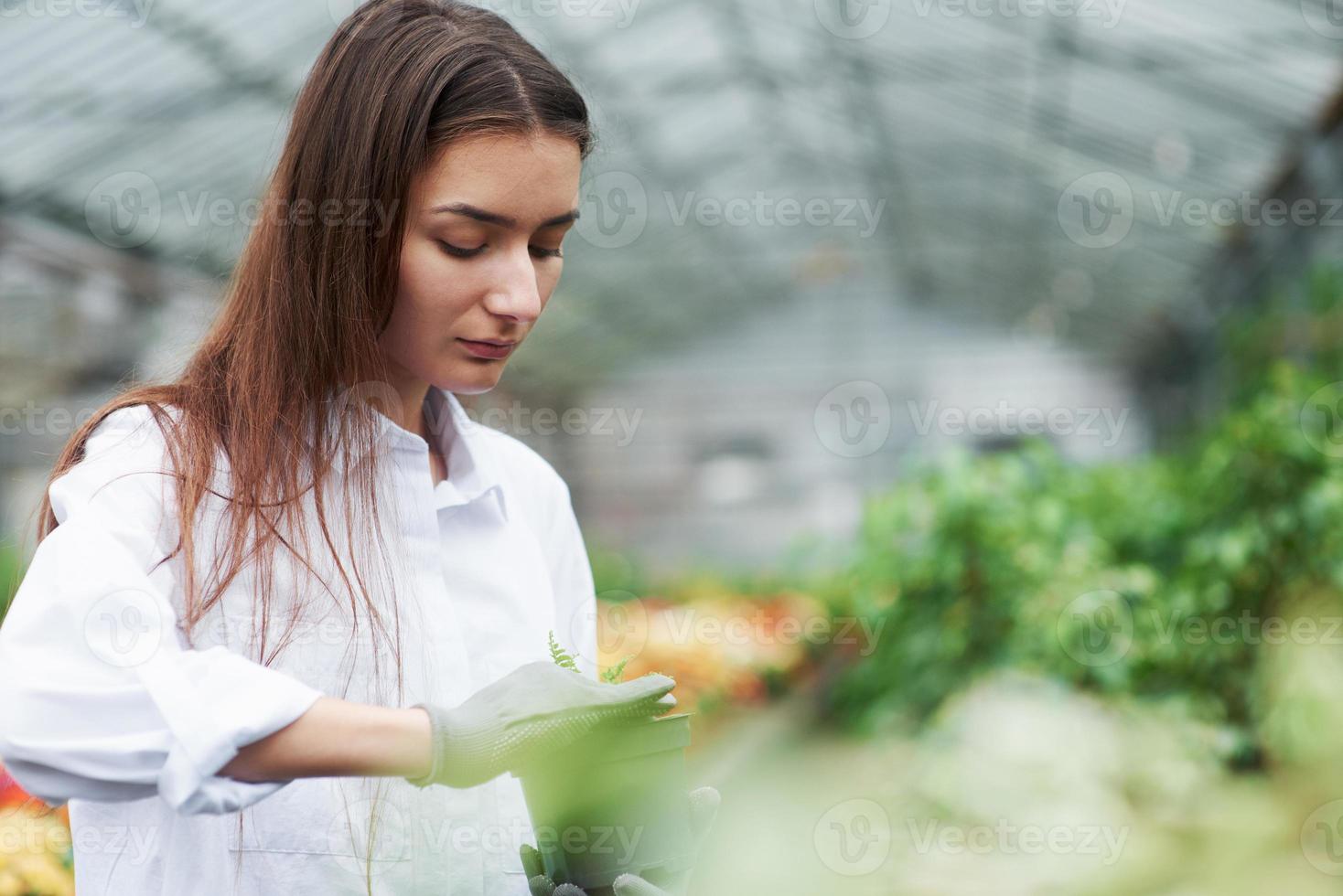 Concentrate at work. Photo of girl in gloves working with the plant in the pot