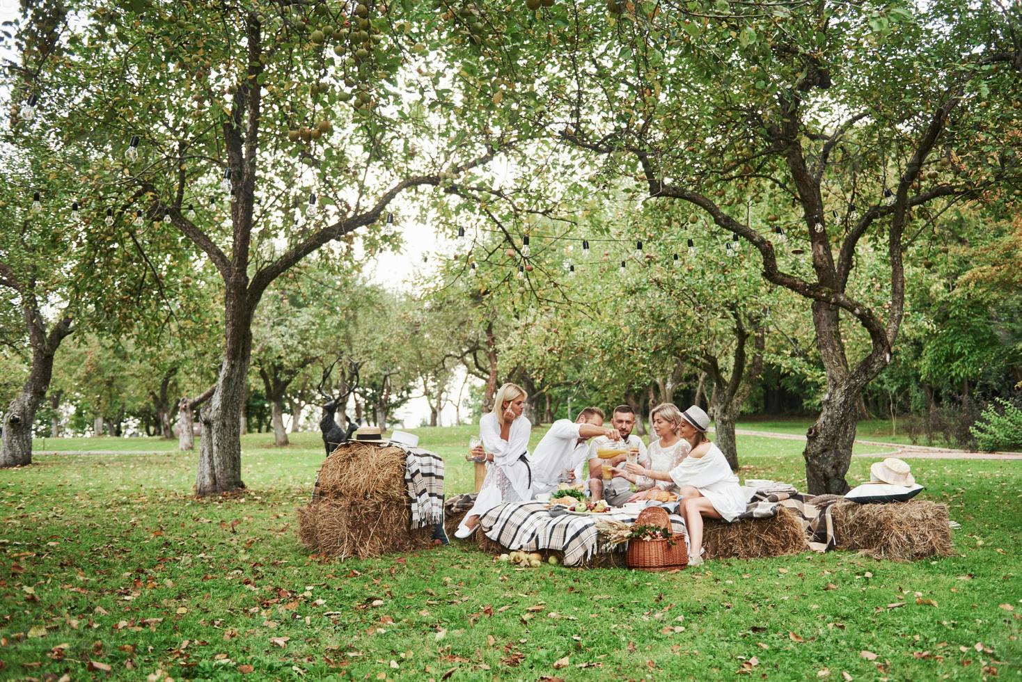 hermoso campo con árboles y hermosos amigos adultos que cenan foto