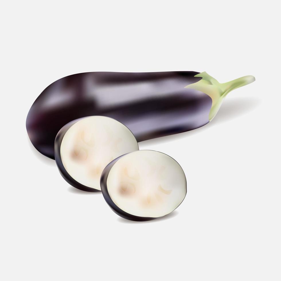 realistic eggplant vector