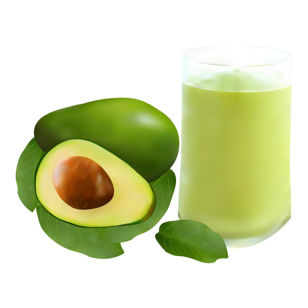 realistic avocado fruit vector