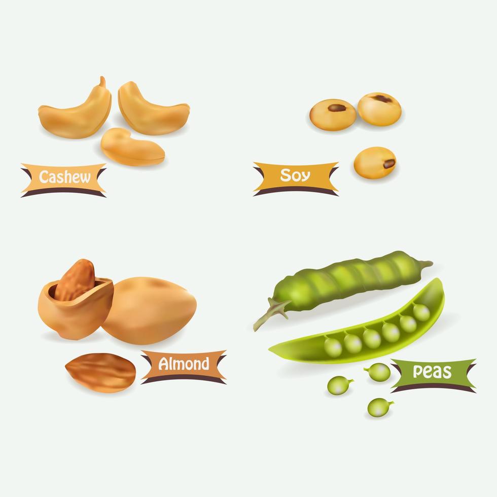 realistic vector almond soybeans peas