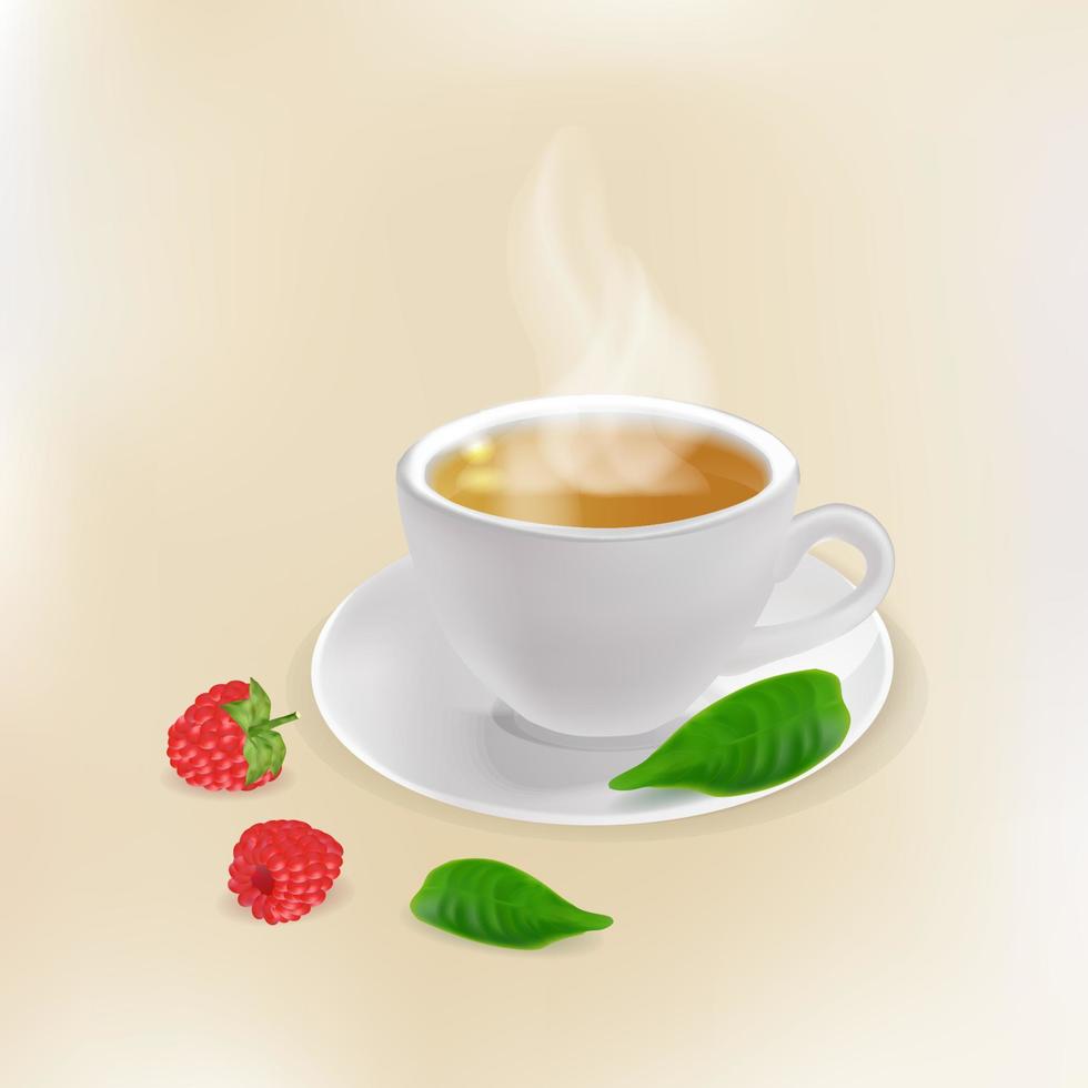 una taza de té caliente con frambuesas vector