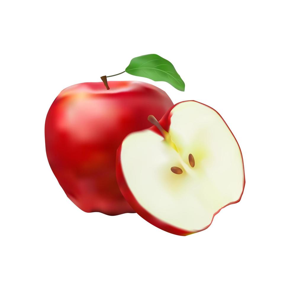 vector de manzana roja realista