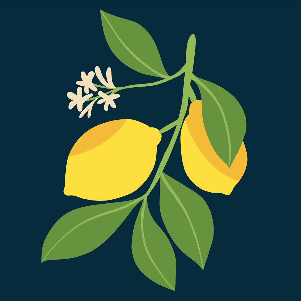 doodle freehand sketch drawing of lemon fruit. vector