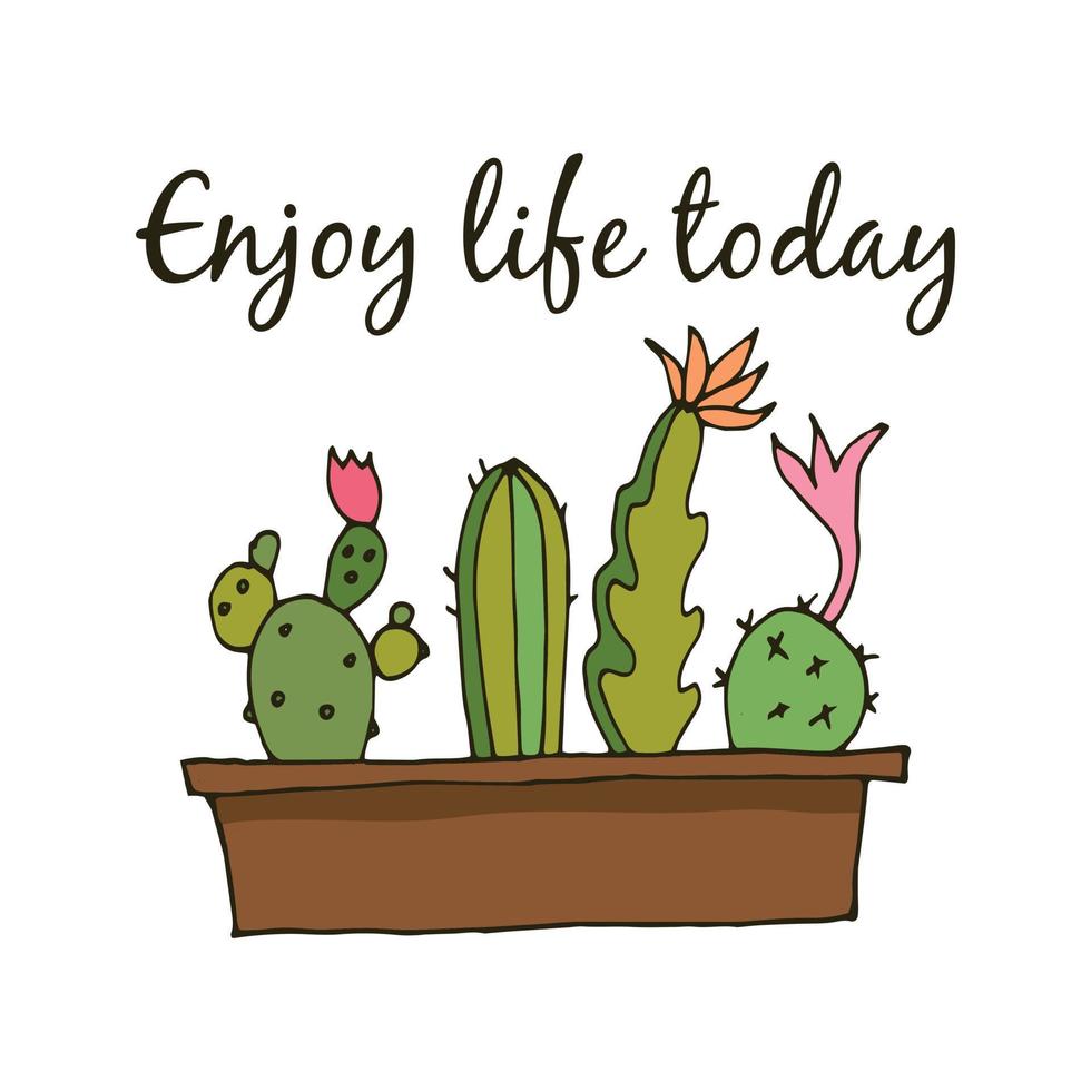 Different cacti in one pot. Vector illustration.