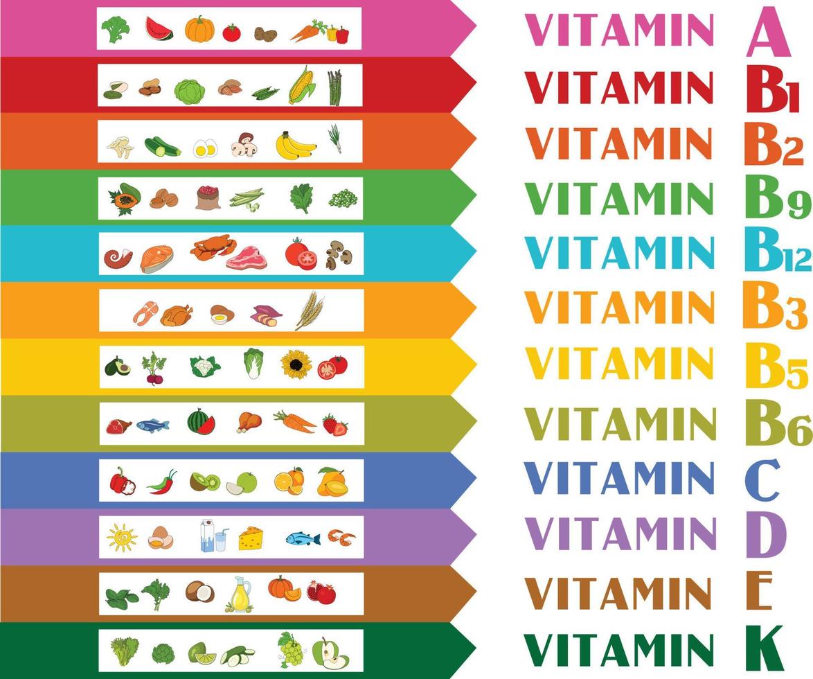 vitaminas fuentes de alimentos. ilustración vectorial vector