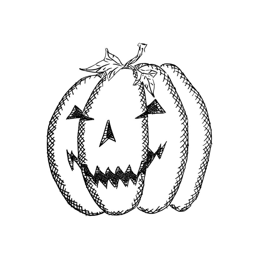 round malicious pumpkin with a smile sketch drawing vector