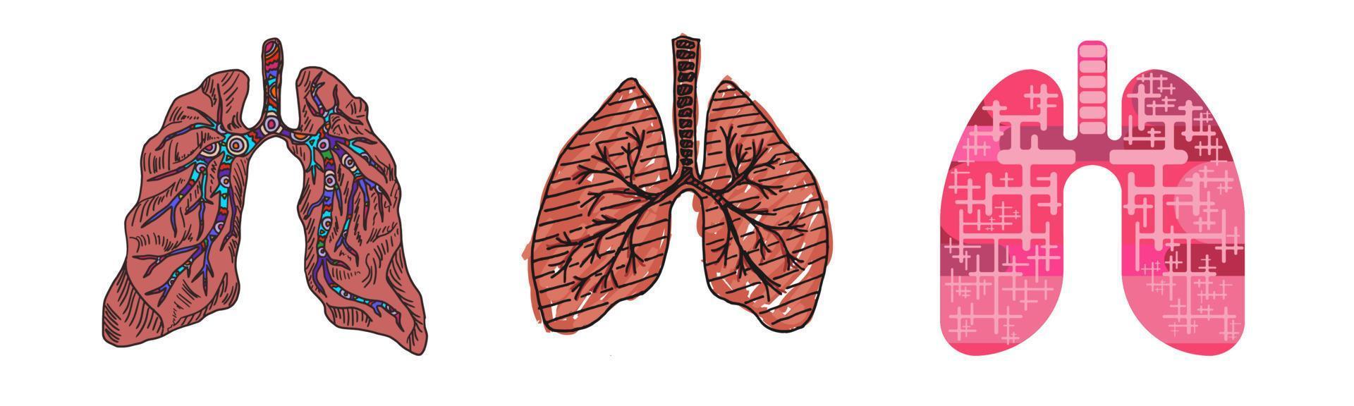 drawing of a human lung doodle sketch flat style vector