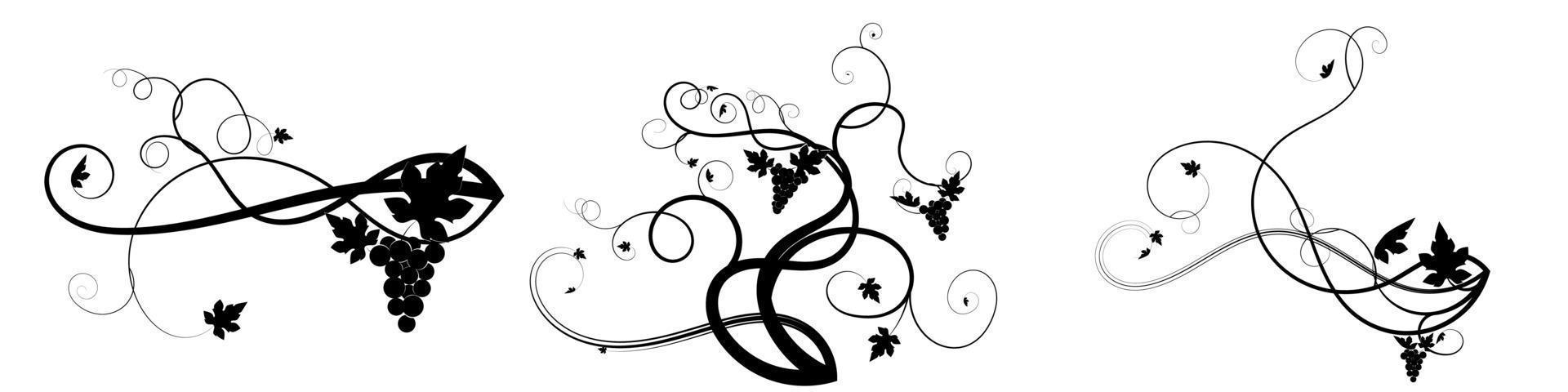 grapes weaving tangled plant black on white vector