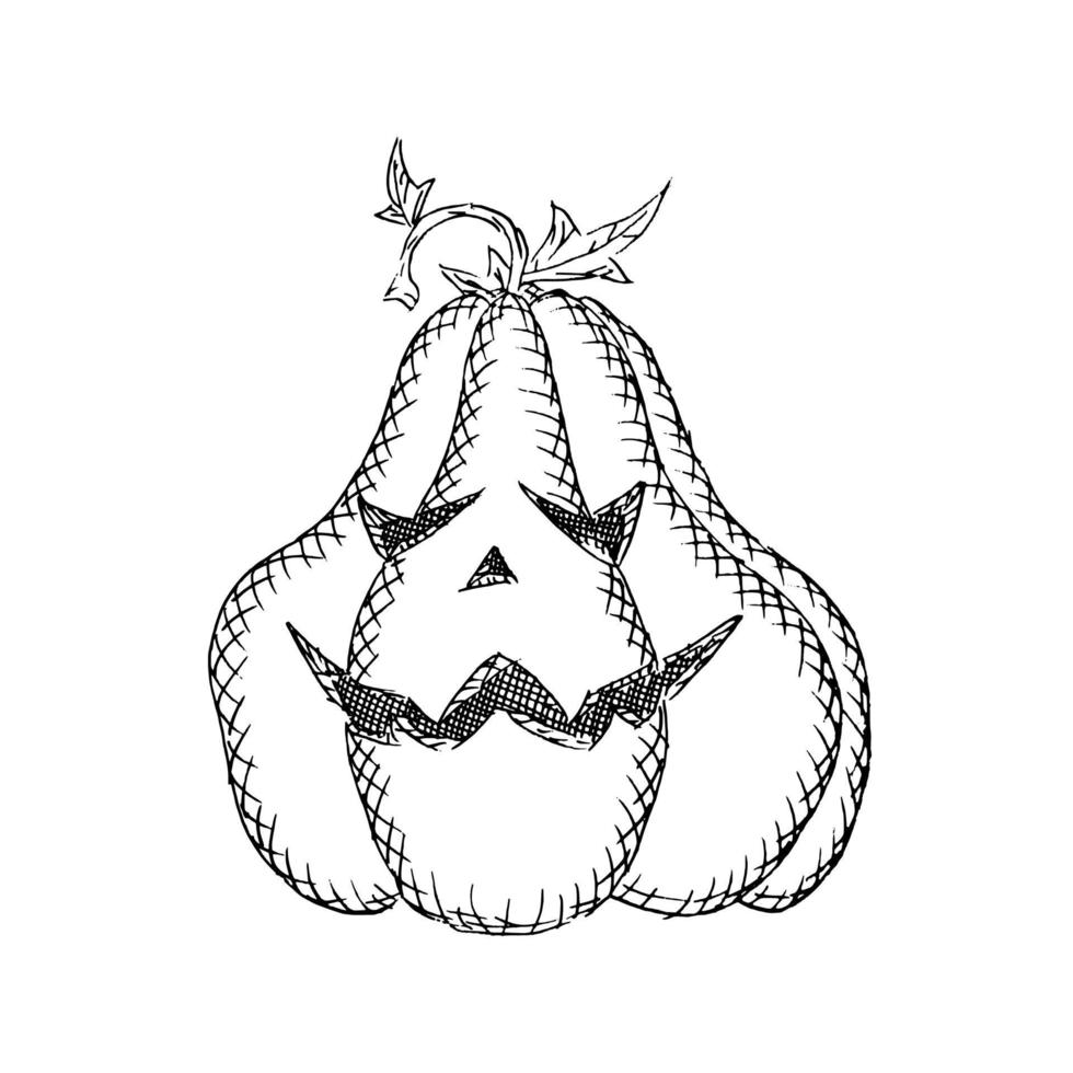 Dibujo de bosquejo de calabaza enojado divertido en blanco vector