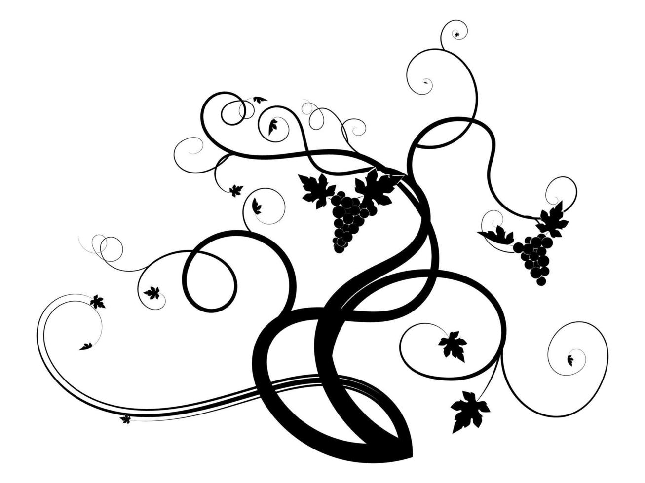 drawn vine grape weaving on a white background vector