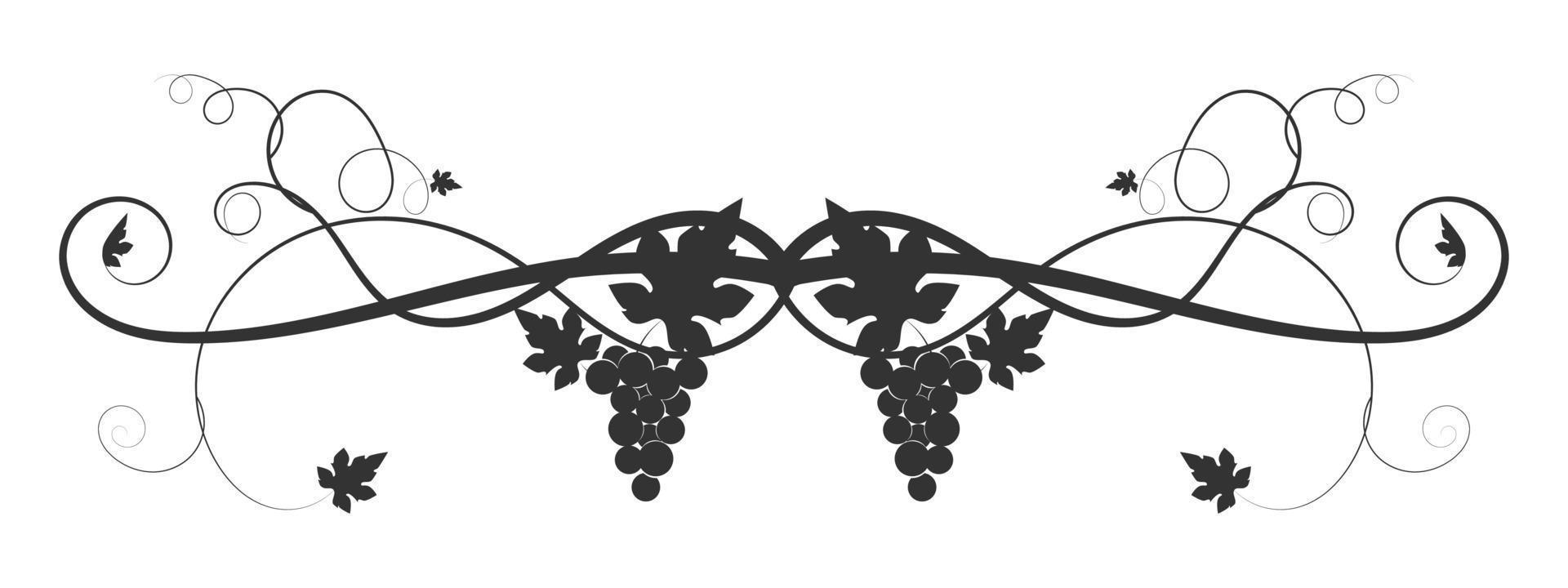 Tejido de uva vid dibujada sobre un fondo blanco. vector