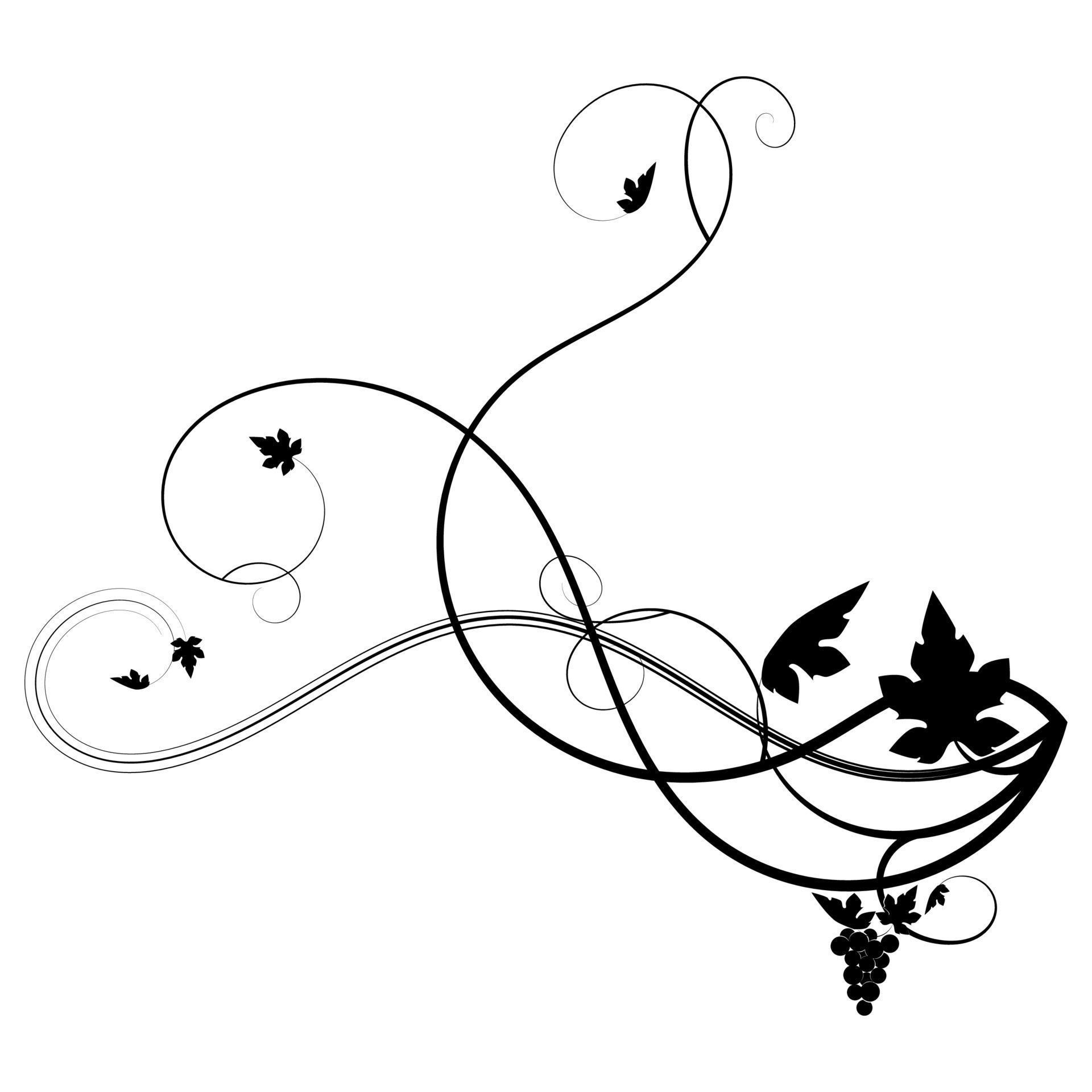 drawn vine grape weaving on a white background 4275533 Vector Art at