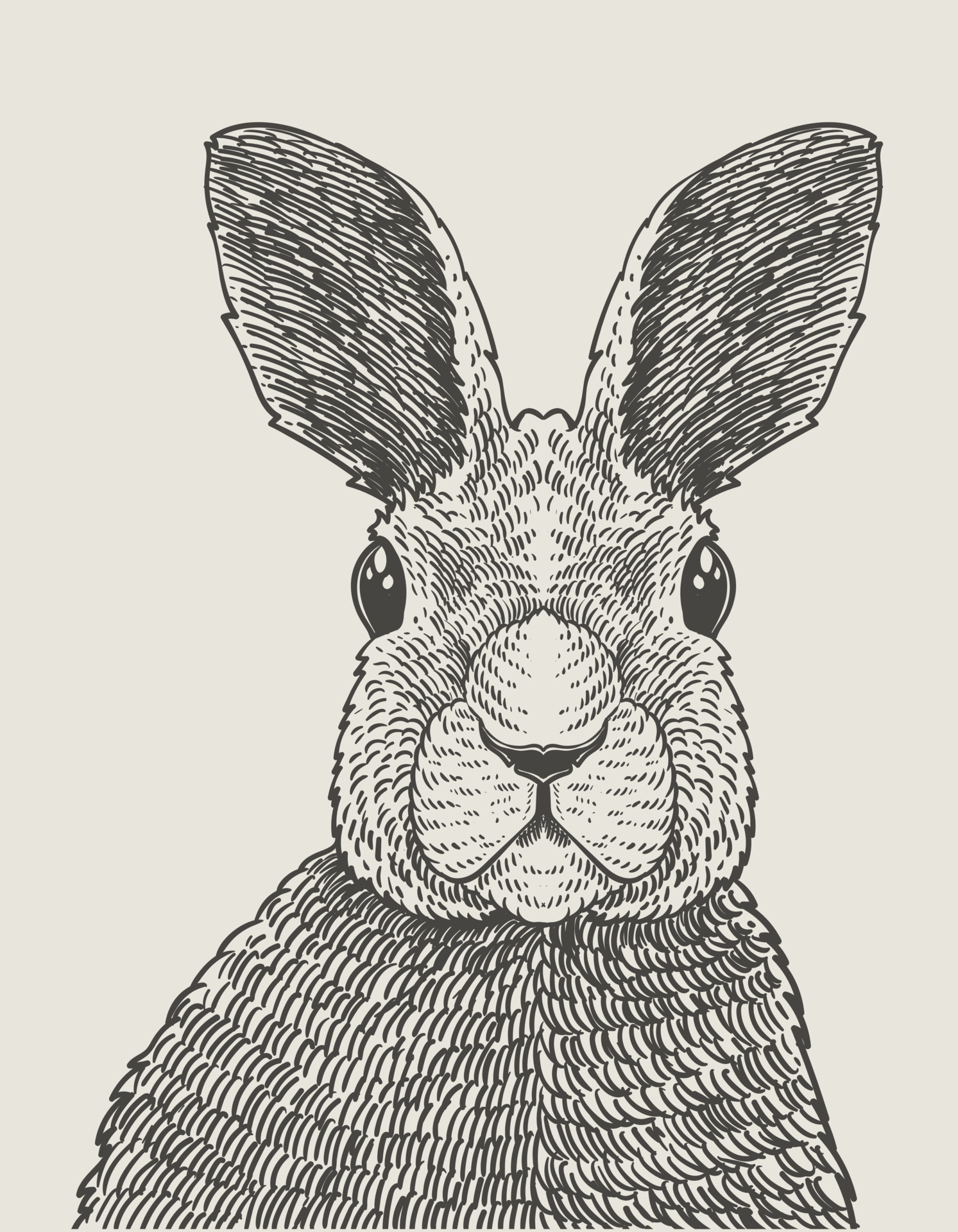 illustration vintage rabbit engraving style 4276292 Vector Art at Vecteezy