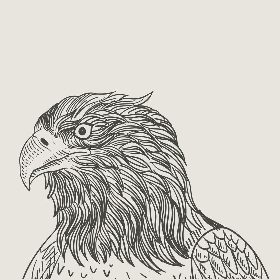 ilustración, vendimia, águila, cabeza, grabado, estilo vector