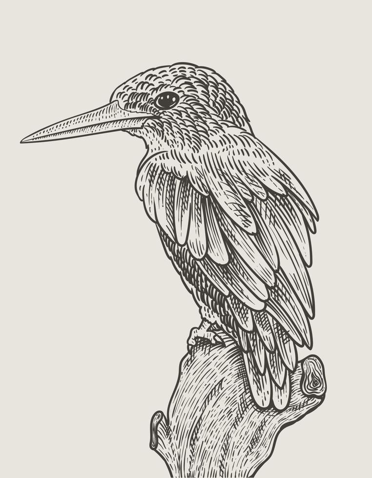 illustration vintage bird engraving style vector