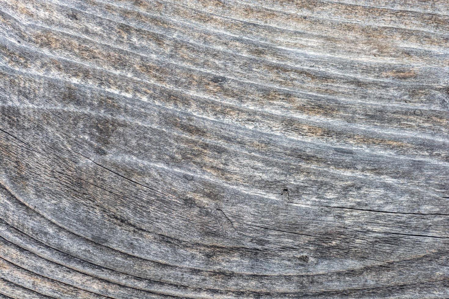 tabla de madera vieja, fondo foto