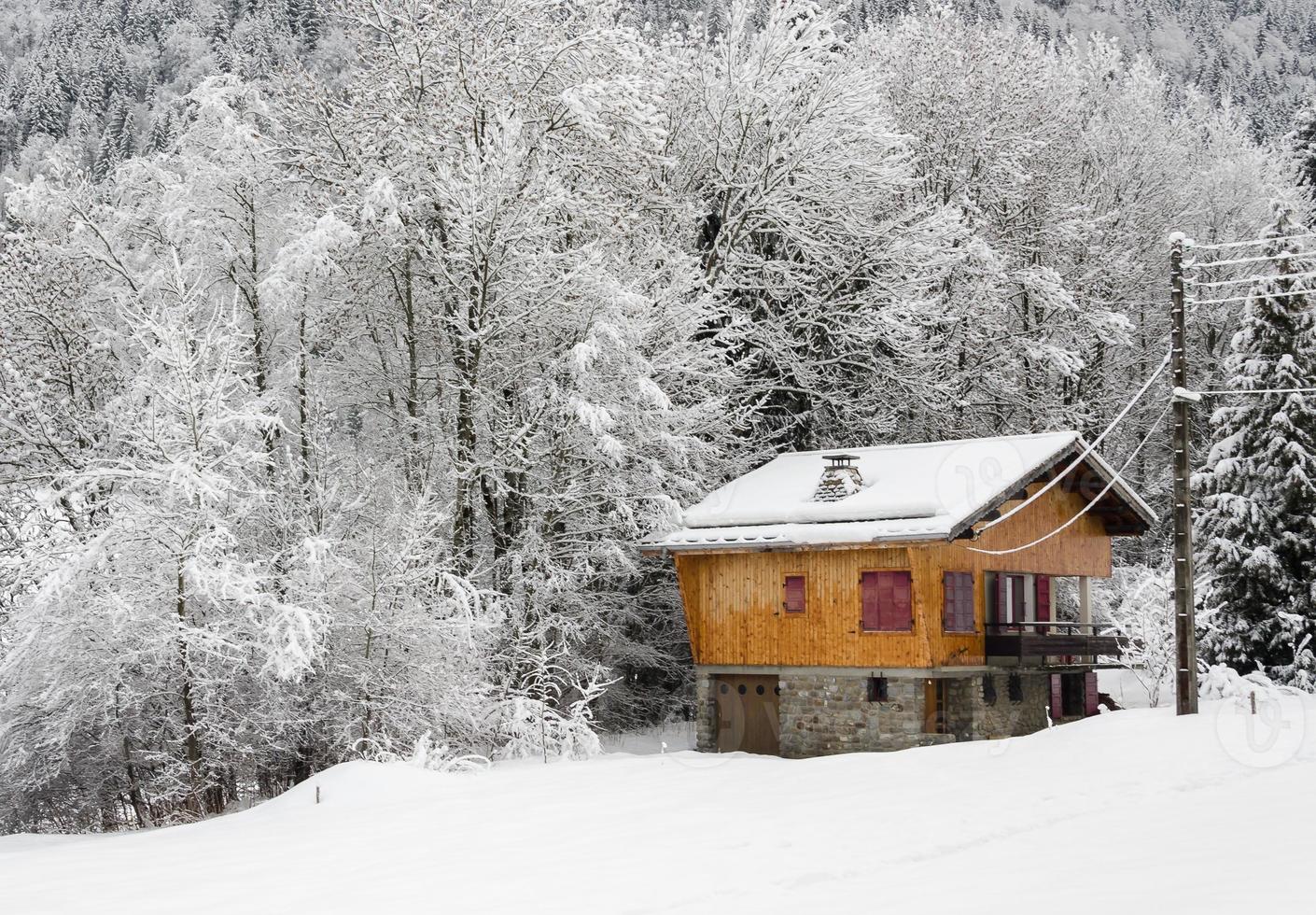 Last cottage next to woods photo