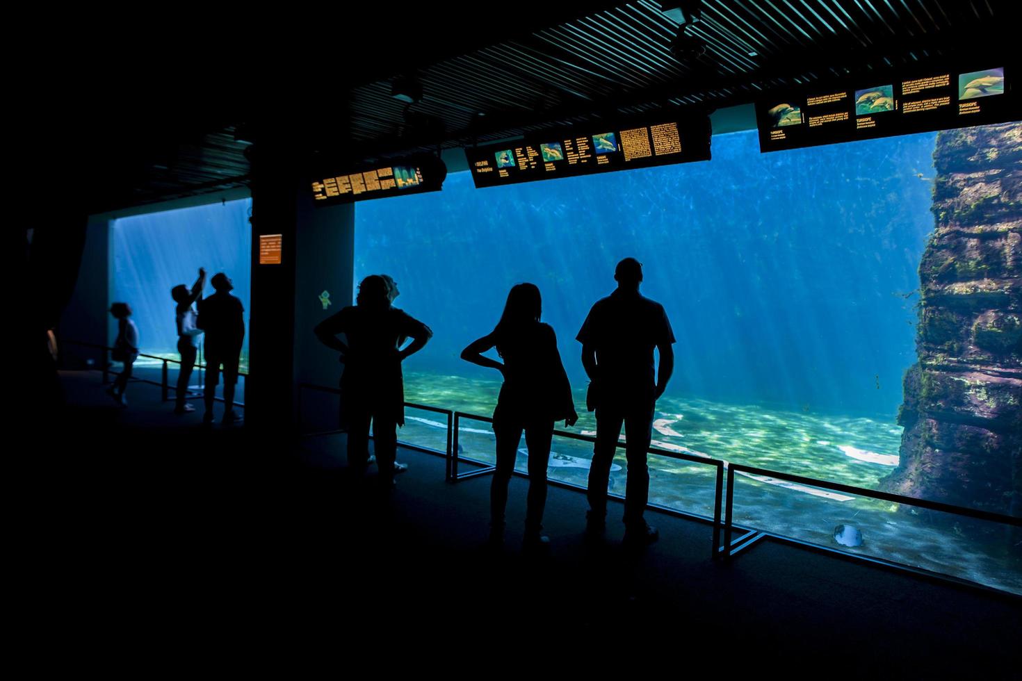 Génova, Italia, 2 de junio de 2015 - Personas no identificadas en el acuario de Génova. El acuario de Génova es el acuario más grande de Italia y uno de los más grandes de Europa. foto