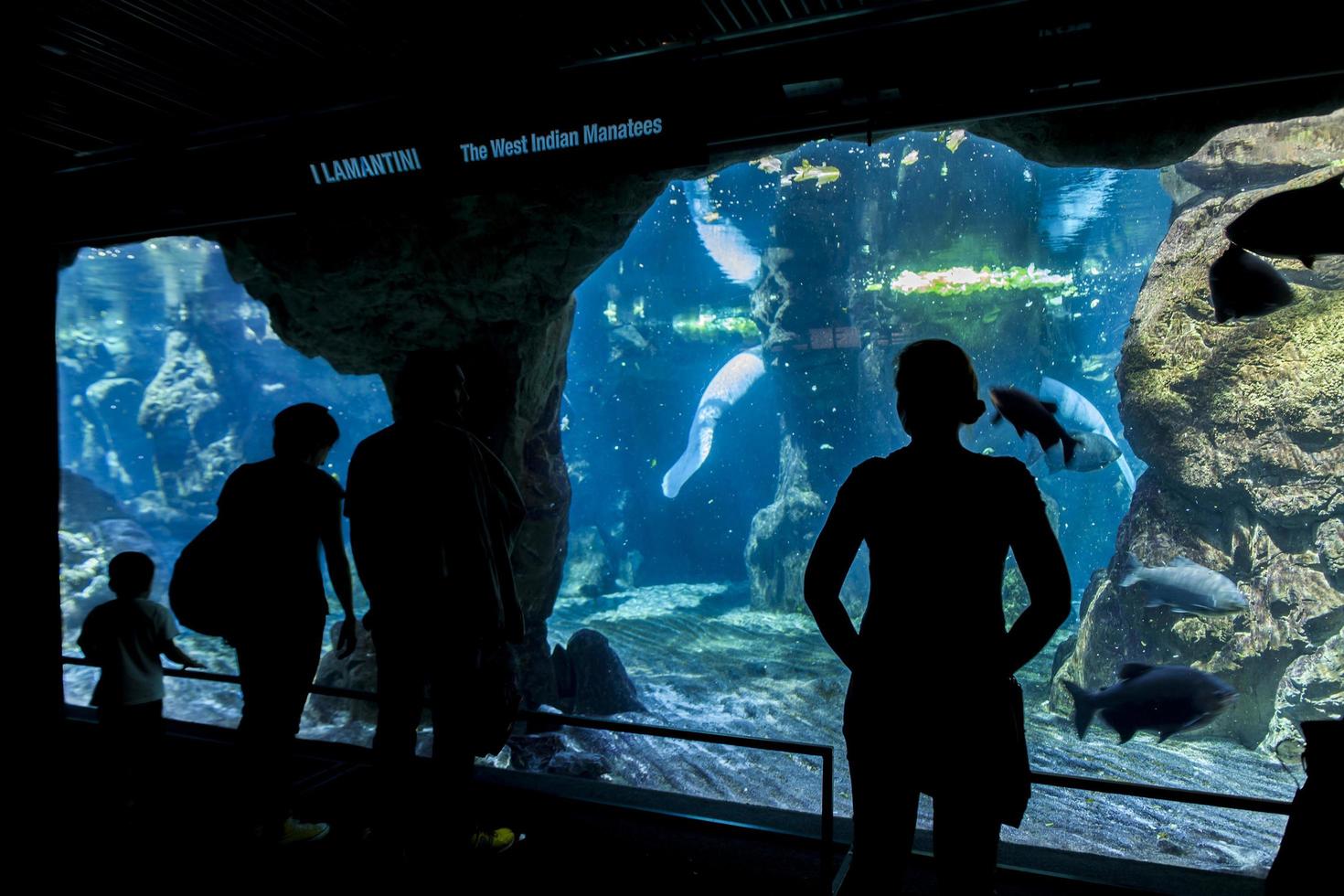 Génova, Italia, 2 de junio de 2015 - Personas no identificadas en el acuario de Génova. El acuario de Génova es el acuario más grande de Italia y uno de los más grandes de Europa. foto