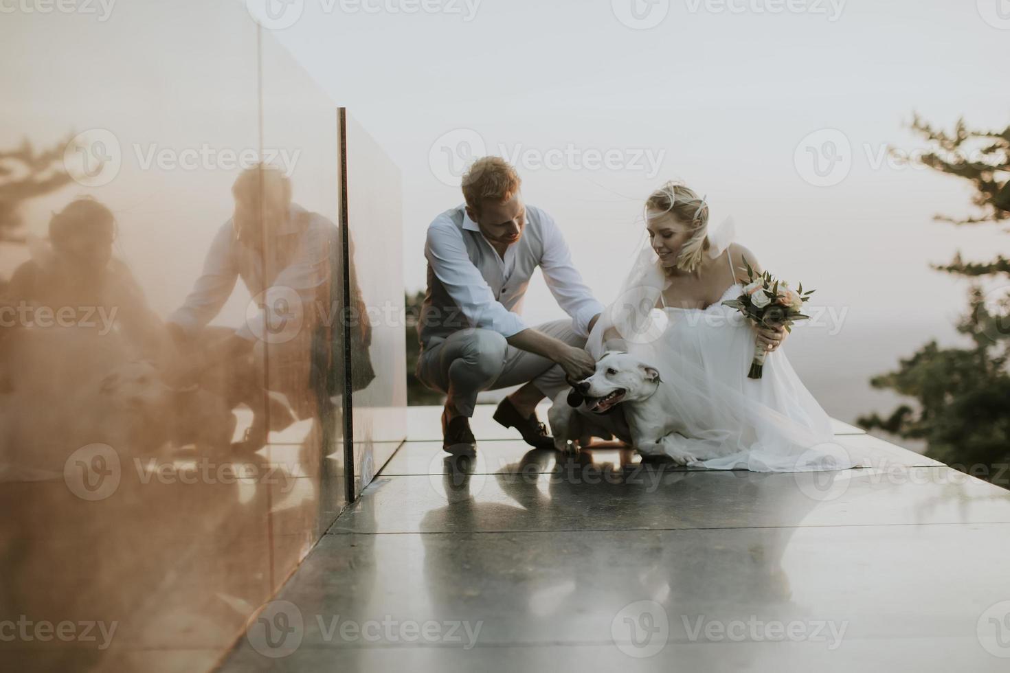 Joven pareja de recién casados con su perro jack russel terrier foto