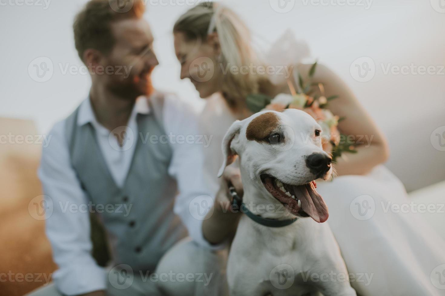 Joven pareja de recién casados con su perro jack russel terrier foto