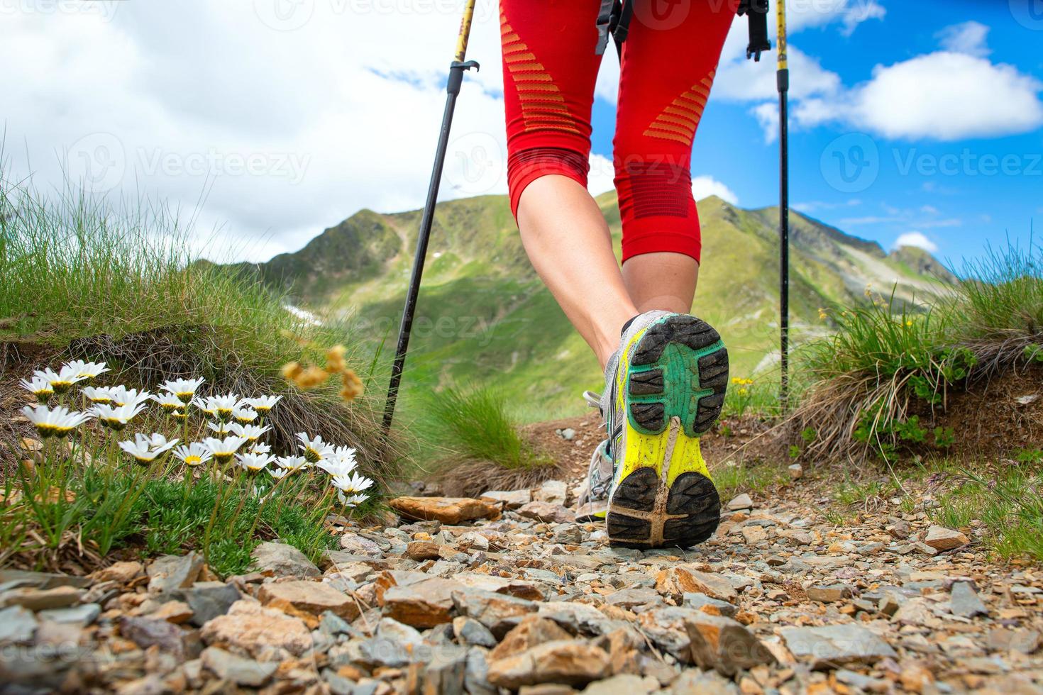 Detail of legs near the flowers of a girl who practices Nordic walking in the mountains photo