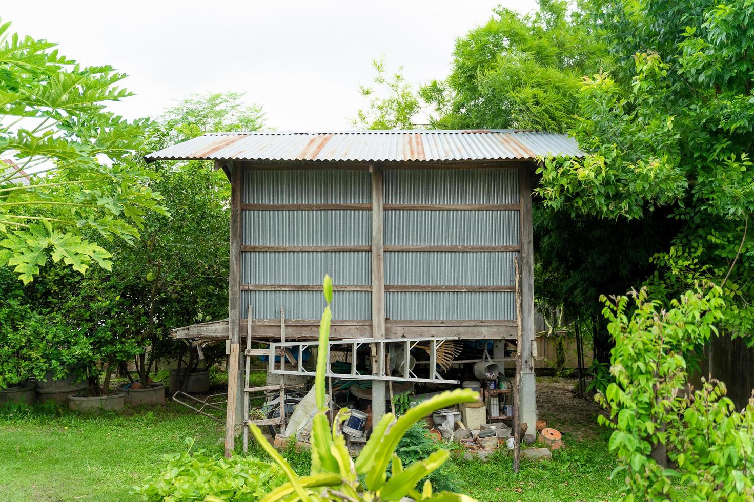 Rice barn for storage and drying of harvested rice in backyard area. photo