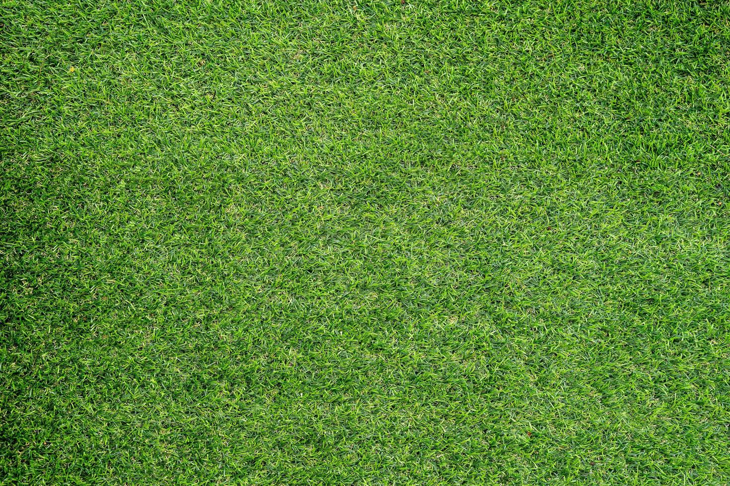 textura de hierba verde para el fondo. patrón de césped verde y textura de fondo. foto