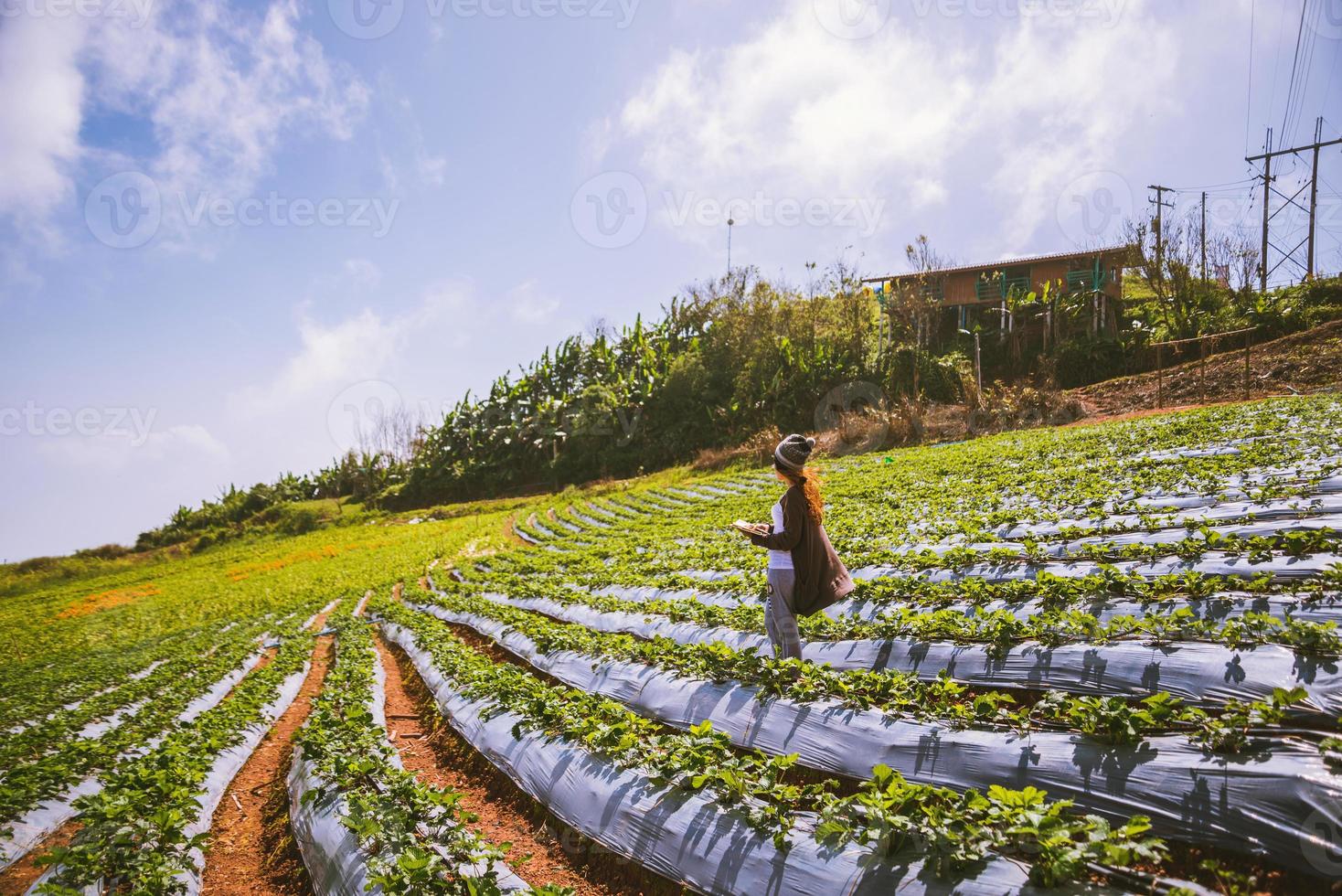 naturaleza de viaje de mujer asiática. viajar relajarse. niña leyendo un libro en el huerto. educación de la naturaleza escribir una nota en el jardín de fresas. tailandia foto