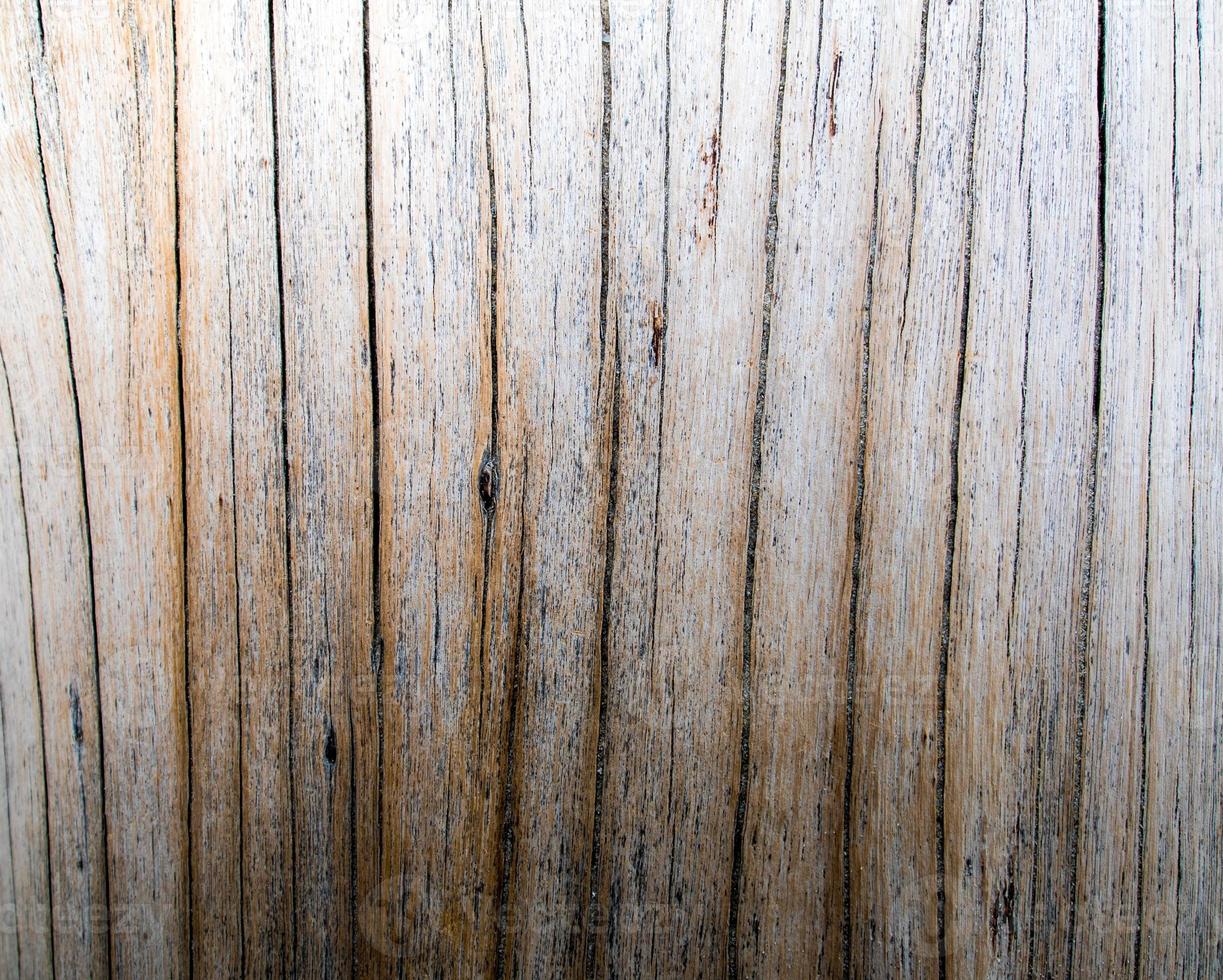 Texture of old stump wood surface photo