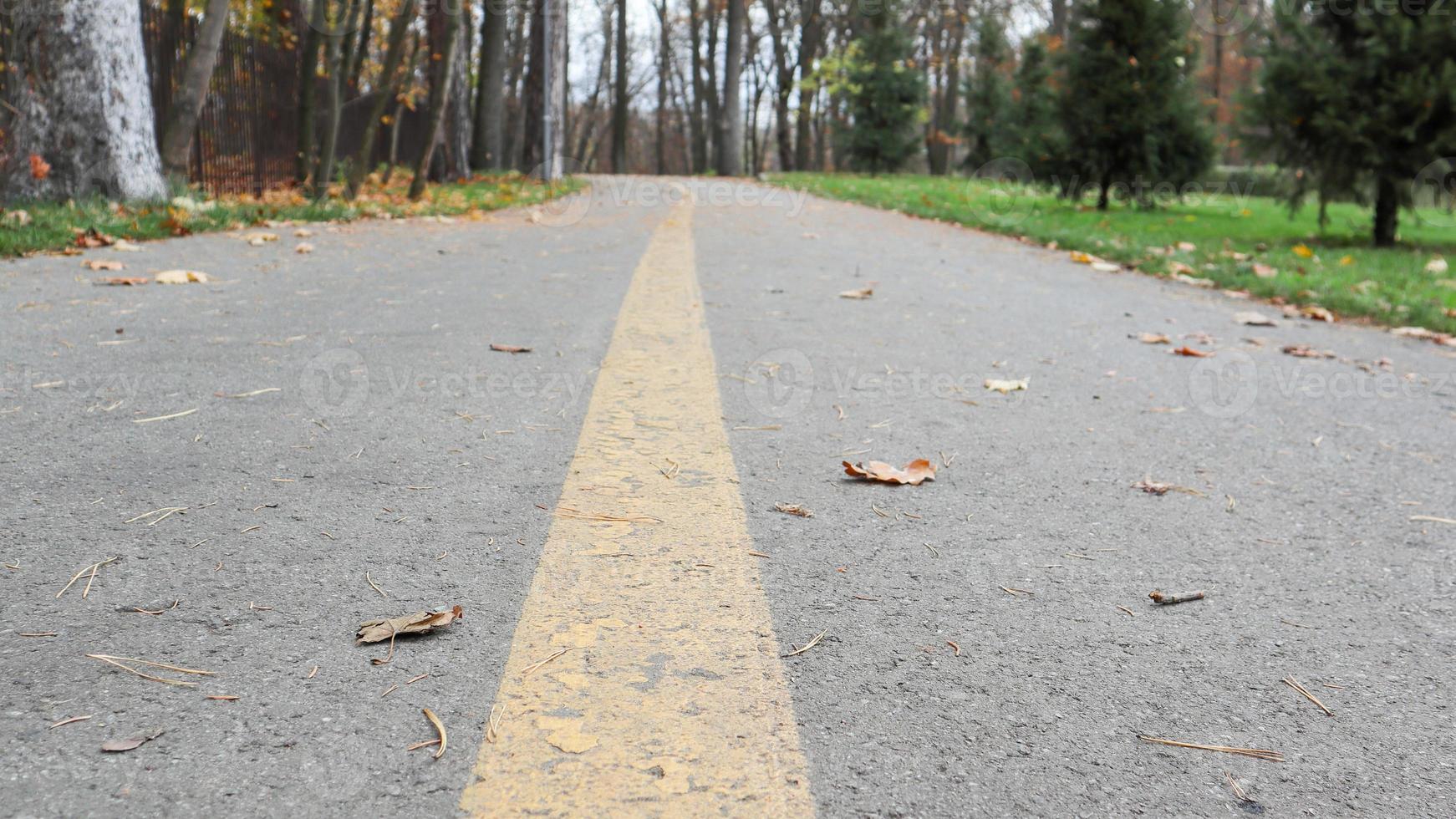 Pasarela en el parque con una marca amarilla en el asfalto. al fondo, los árboles y arbustos ya tienen hojas amarillas y naranjas. clima cálido, día soleado. otoño parque vacío sin gente foto