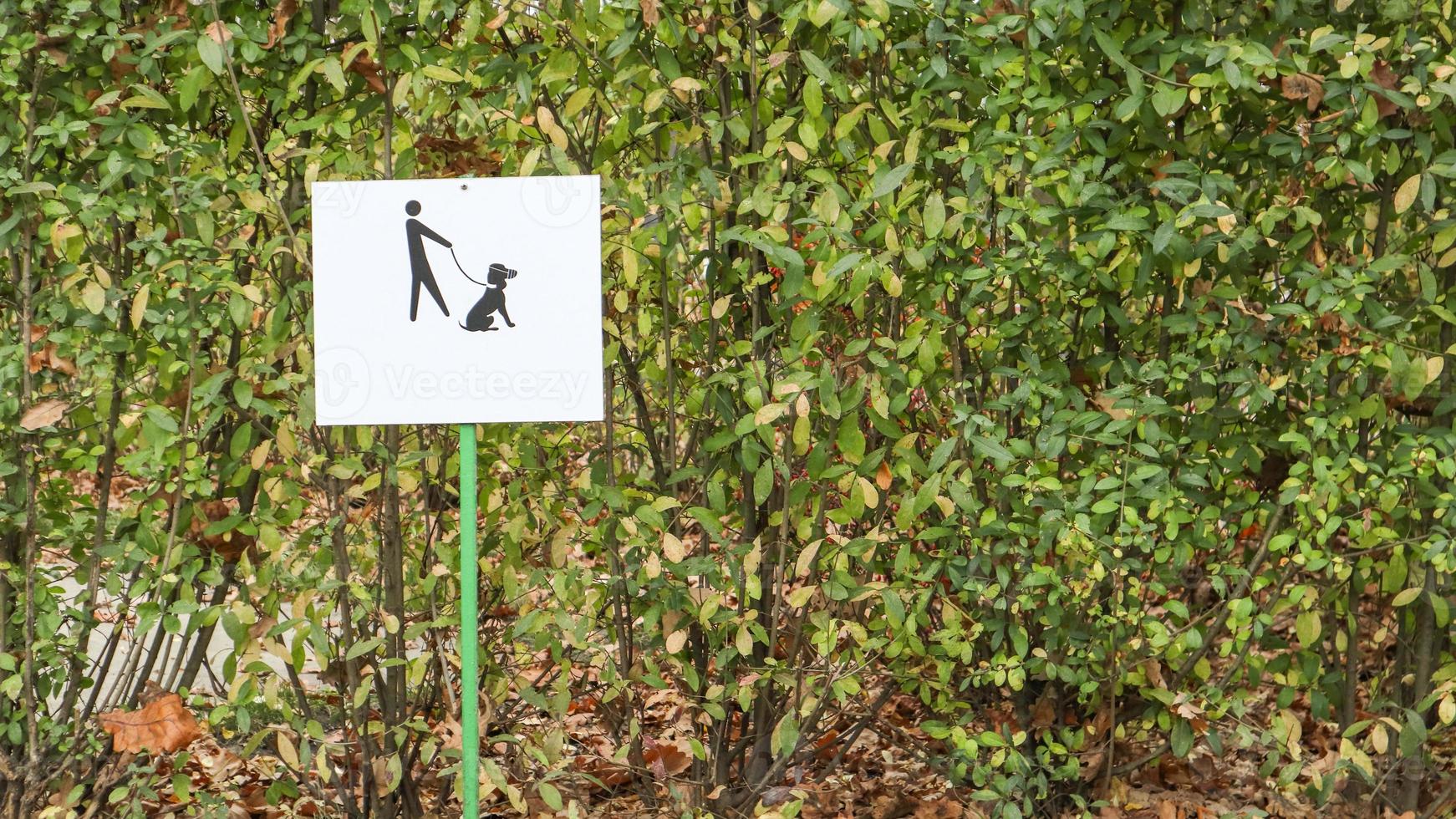 A useful reminder is to enter the dog park. Keep dogs on a leash warning sign in a park. A clean symbol of dog food in the park for a clean environment and clean society. photo