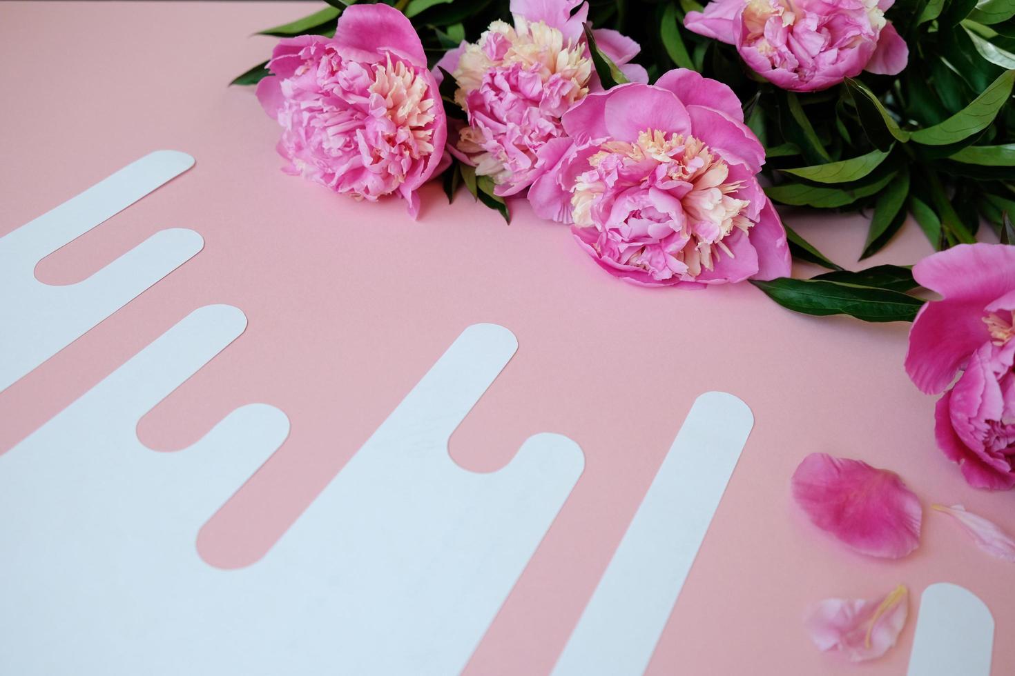 beautiful pink peony on pink backround. Floral composition photo