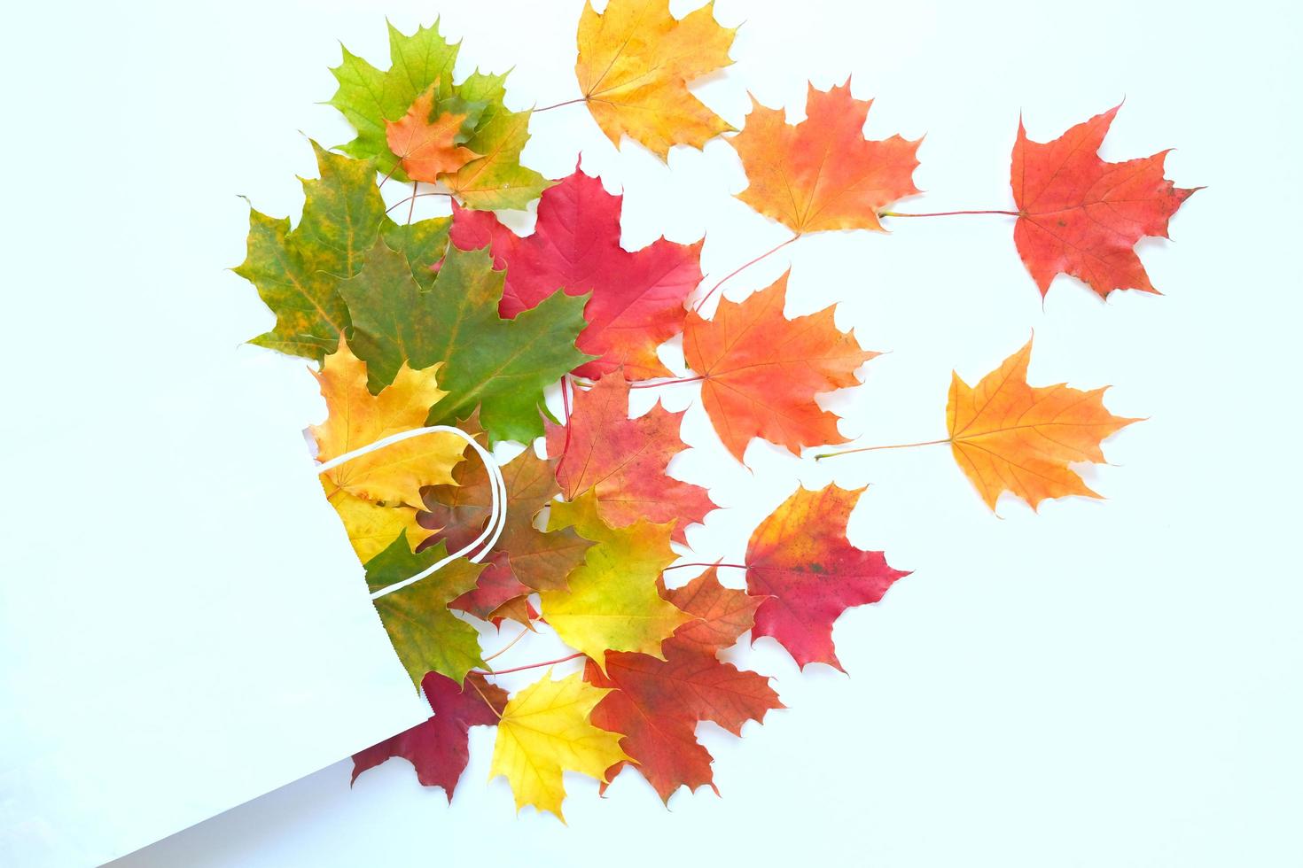 Autumn sale. Paper bag with autumn maple leaves. Shopping concept photo