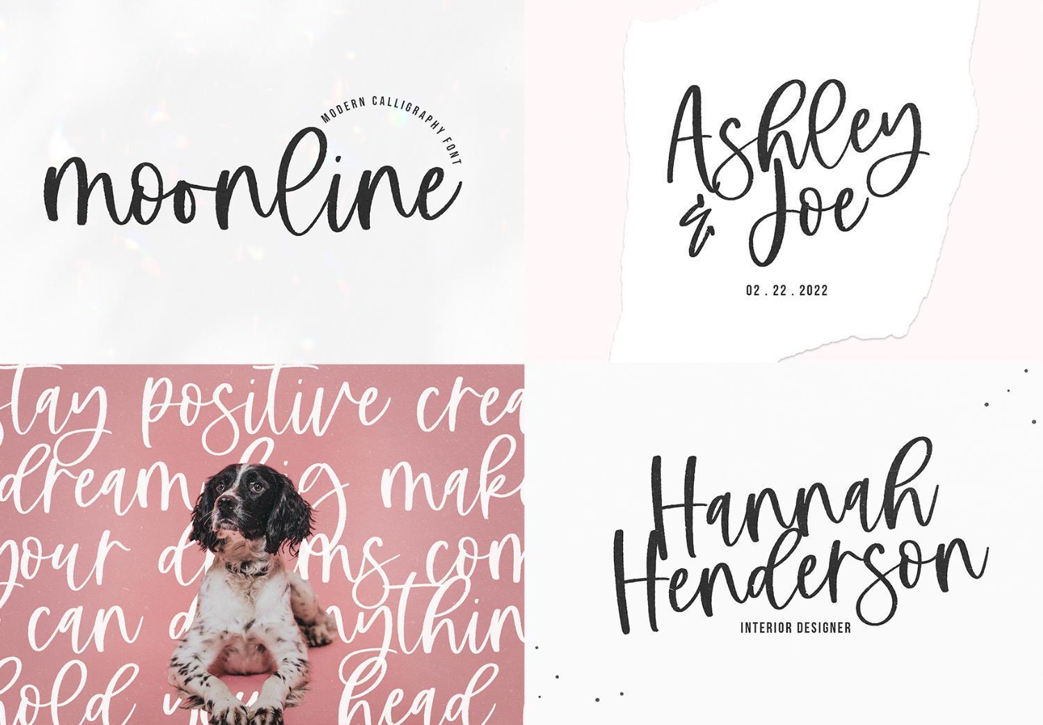 Modern Script Fonts Bundle 4287405 Bundle