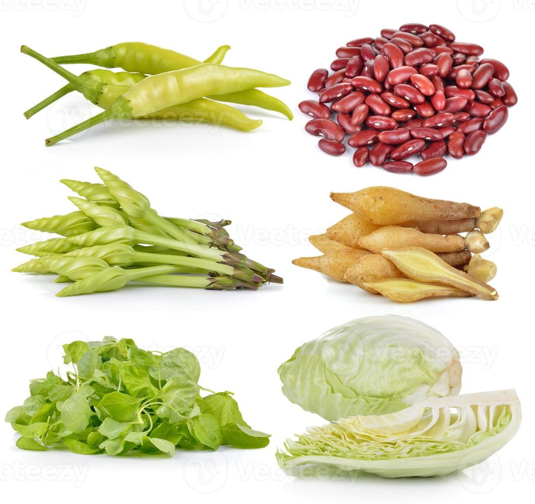 spinach, Cabbage, Moonflower, red beans, Fingerroot, chili on white background photo