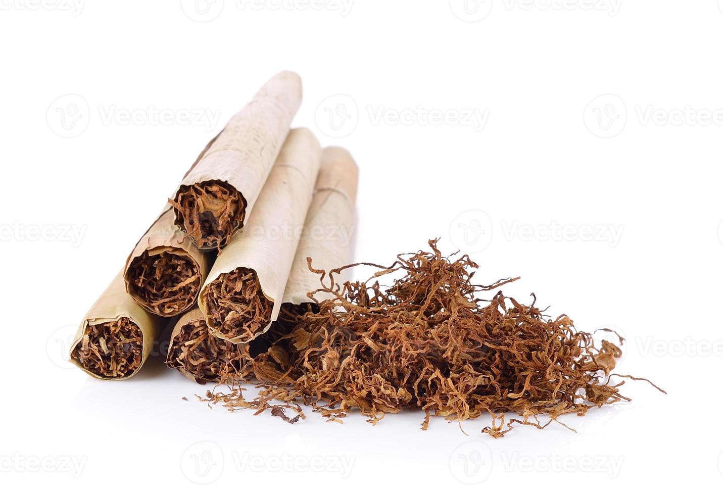 Tobacco pile and cigarette photo