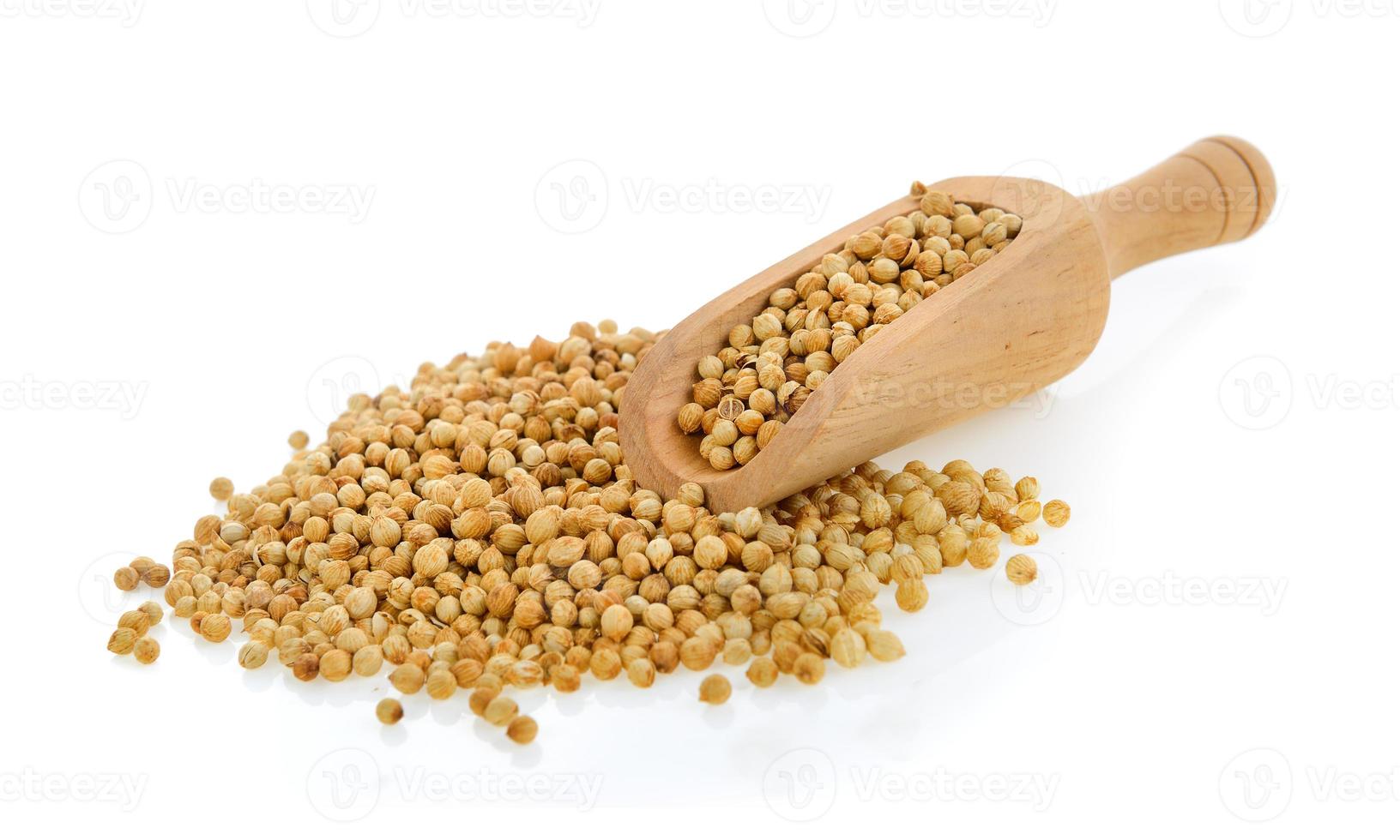 Coriander seeds in scoop isolated on white background photo