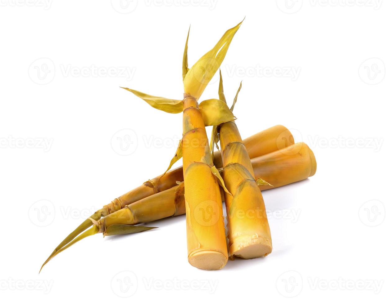 Bamboo shoot on a over white background photo