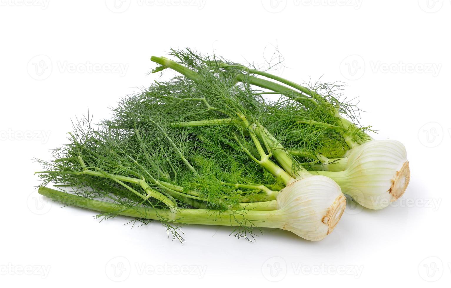 fennel on white background photo