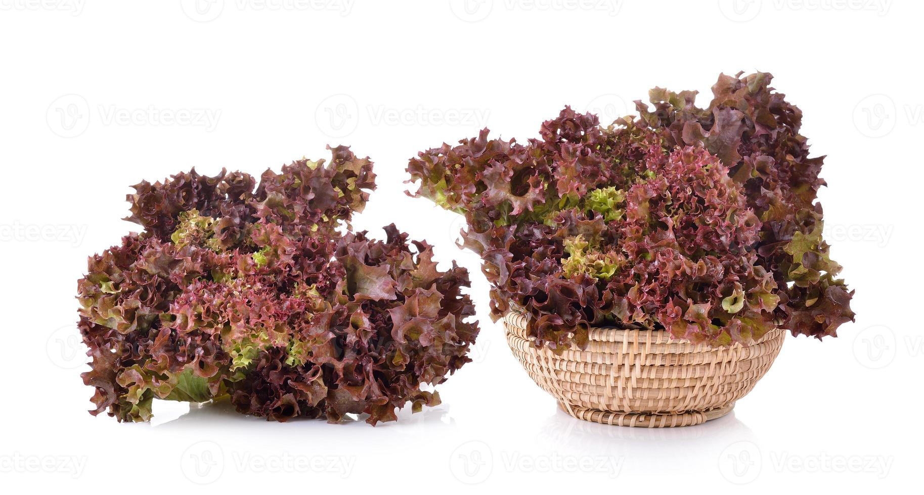 Lechuga roja fresca en la canasta aislado sobre un fondo blanco. foto