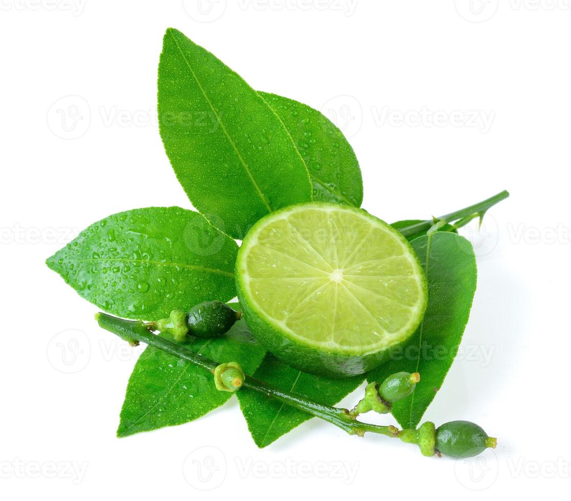 lime on white background photo