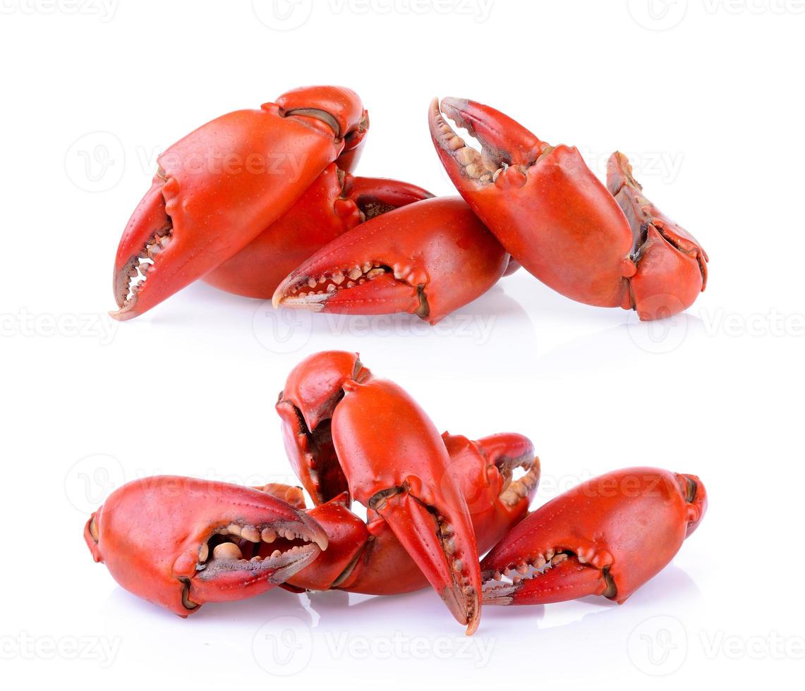 Boiled crab claws isolated on white background photo