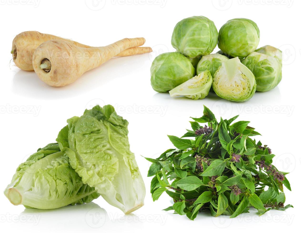 parsnip roots, baby cos, Brussel Sprouts, Sweet Basil on white background photo