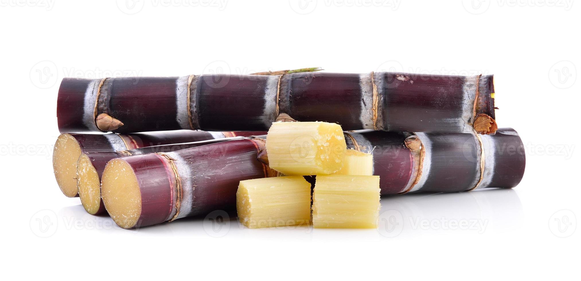 sugarcane on white background photo